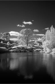 Hobbittown, North Island, New Zealand